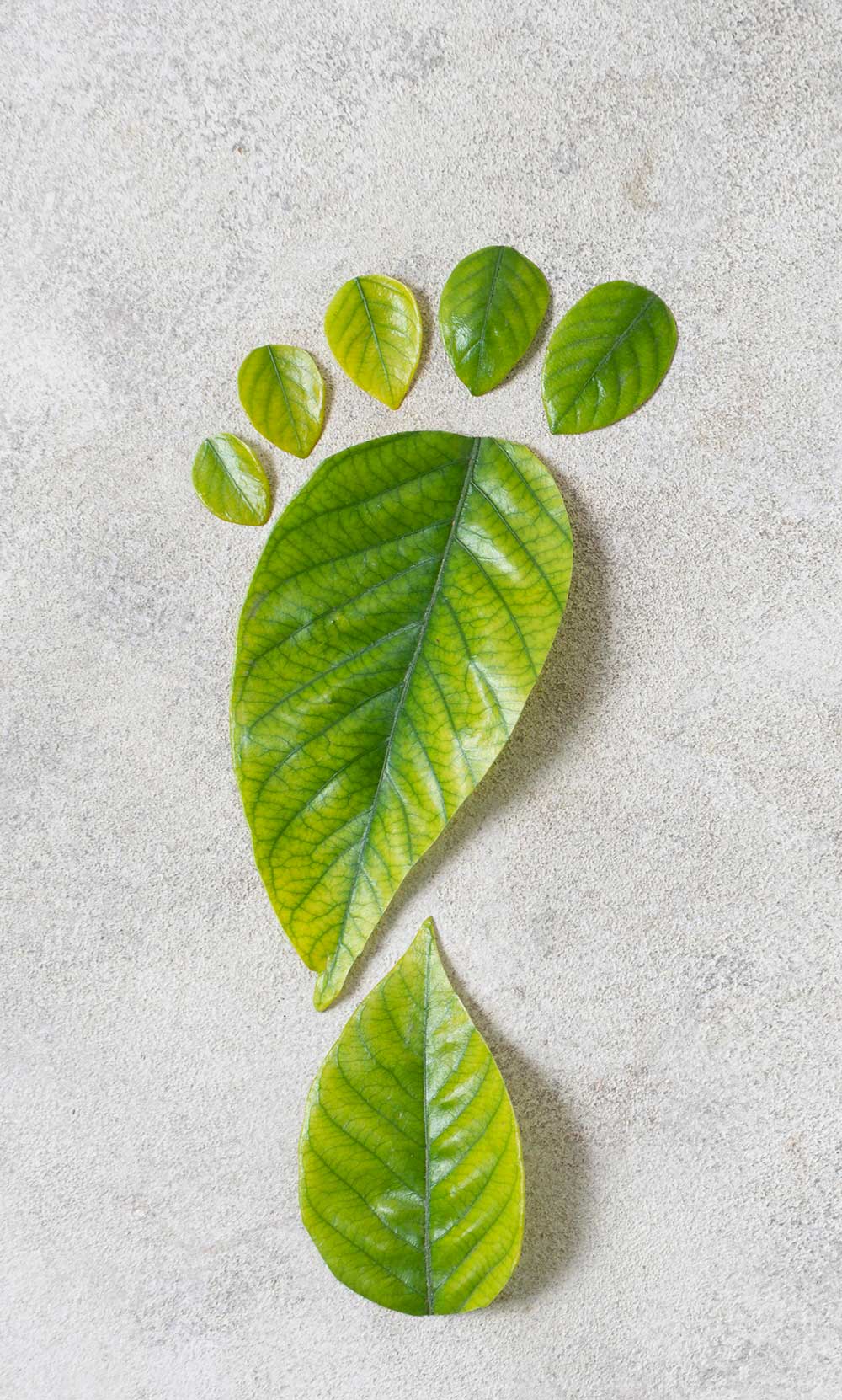 Vorschaubild Vorstellung Arbeitsgruppe Nachhaltigkeit