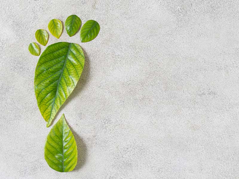 Vorschaubild Vorstellung Arbeitsgruppe Nachhaltigkeit